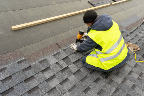 Best Roof Leak Repair  in Cambridge, MN