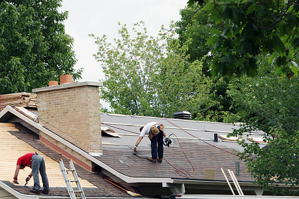 Best Roof Gutter Cleaning  in Cambridge, MN