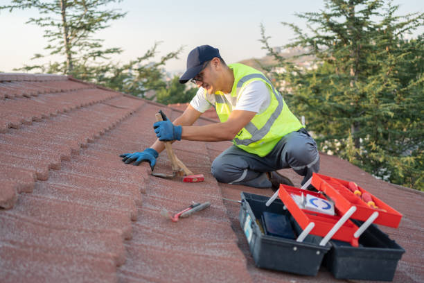 Best Roof Leak Repair  in Cambridge, MN